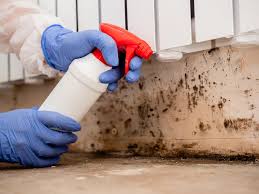 Best Emergency Mold Remediation  in Ashtabula, OH